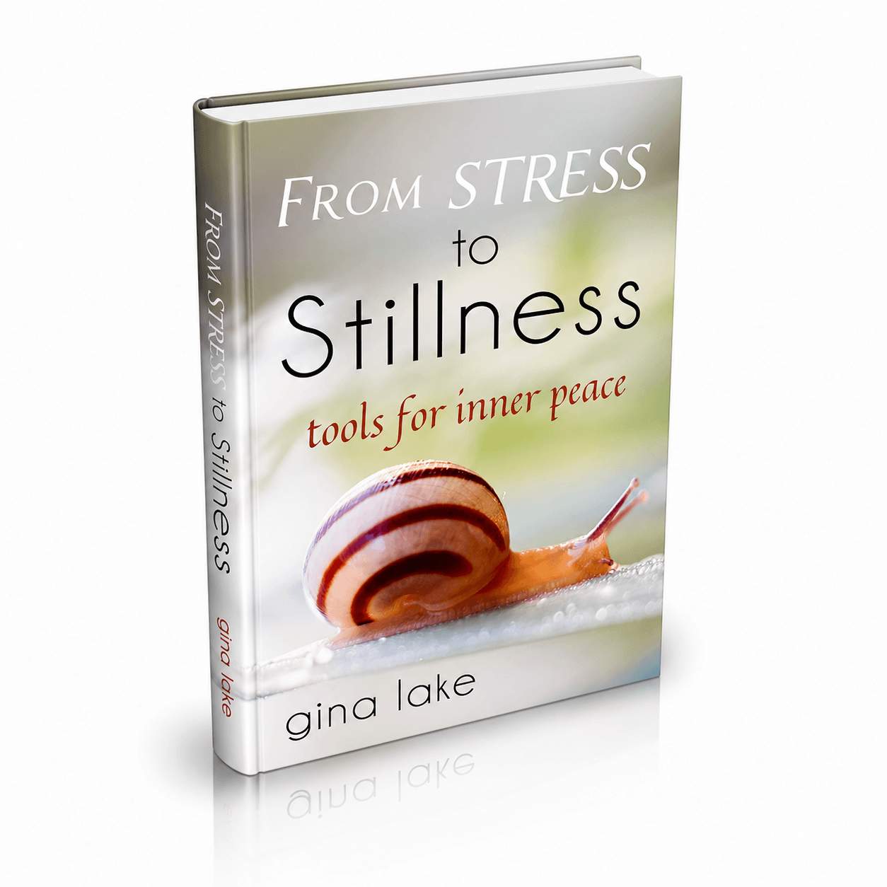 From Stress to Stillness: A Guide to Inner Peace